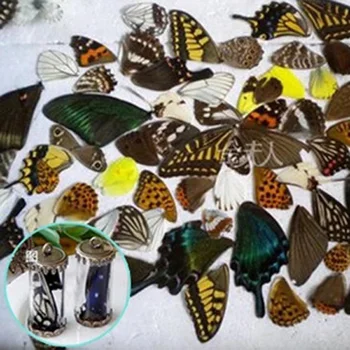 10VNT 3D Drugelis egzempliorių sparnus Nekilnojamojo drugelio sparnai drugelių sparnai žiedas/auskarai/karoliai