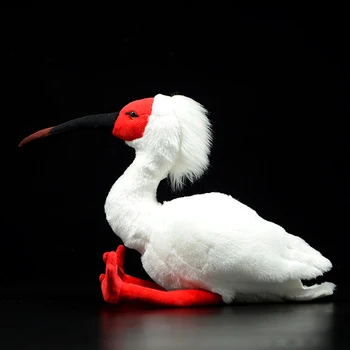 27cm Modeliavimas Super Mielas Azijos Kuoduotasis ibis Pliušinis Žaislas Balta Raudona Japonų, Kinų Nipponia nippon Realiame Gyvenime Lėlės Vaikų Dovanų