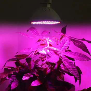 2vnt 200 LED E27 LED Augalų Auga Šviesiai raudonos, mėlynos Lempos Auga Lemputes Hidro cultivo Gėlių, Augalų Daržovių growbox Žalias Namas