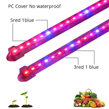 2VNT 50CM LED Grow Light 12V Su 2A adapteris 5630 LED Juostelė Šviesos Pilno Spektro Auginimo Lempos Akvariumas Šiltnamio efektą sukeliančių Augalų atsparumas Vandeniui