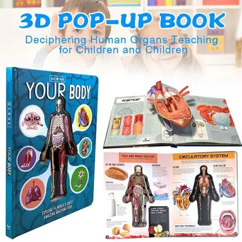 3D Anatomija Žmogaus Kūno anglų kalba Populiari Mokslo Knyga 3D Vaizdas Knyga