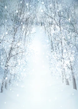 Capisco fotografijos foną sniego miškų Bokeh Žiemos Kalėdų tema fone profesionalių nuotraukų fone studija