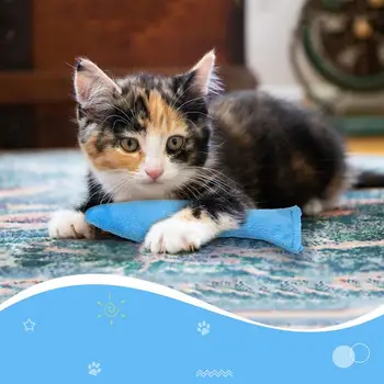 Dorakitten 4Pcs/Set Cat Žaislų, Kūrybinės Morkų Baklažanų, Pipirų Žuvies Formos Katžolių Žaislas Katė Kramtyti Žaislas Naminių Reikmenys Katė Džiaugtis