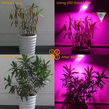 E27 Led Grow Light Visą Spektrą 15W 21W 27W Phytolamp Kambarinių Augalų Led Lempos, Lemputės efektą Sukeliančių Daržovių Sėklos Augimą