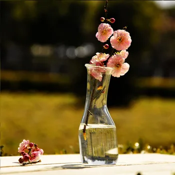 Idiliškas Skaidrus, Tamsintas Stiklas Vaza Maža Žalia Augalų Puodą Hydroponic Gėlių Vaza Šiaurės Sode Darbastalio Apdaila Dovana
