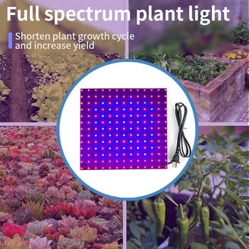 LED Grow Light 20W 40W Phytolamp Augalų Fito Lempa Augalų Visą Spektrą Mėlyna Raudona Led Skydelio Apšvietimas viduje Auga Palapinę Lauke