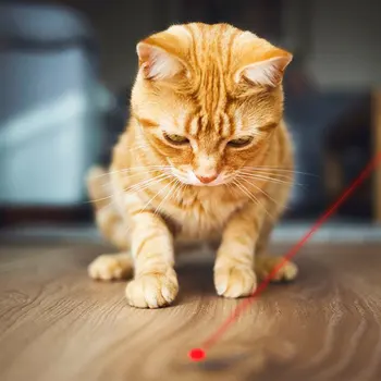 LED Lazeriniai Naminių Kačių Žaislas Red Dot Lazerio Šviesą Žaislas Lazerio Akyse Rodykle Lazerio Pen Interaktyvus Žaislas Katė