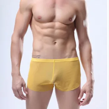 Maudymosi Kostiumėlį Mens Bikini Trumpas Kvėpuojantis Apatiniai Skaidrus Underwears Vyrams Maudytis