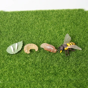 Modeliavimo įspūdingi padarai bičių Gyvūnų Modelio Gyvavimo Ciklas Bičių Veiksmų Skaičiai Miniatiūriniai Švietimo Žaislai