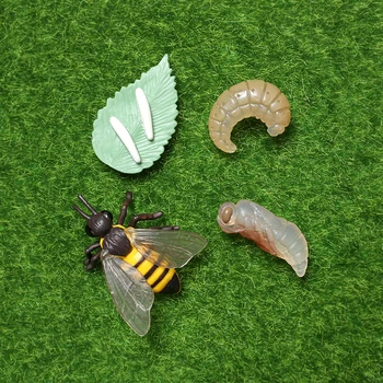 Modeliavimo įspūdingi padarai bičių Gyvūnų Modelio Gyvavimo Ciklas Bičių Veiksmų Skaičiai Miniatiūriniai Švietimo Žaislai