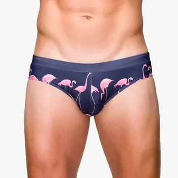 Seksualus Flamingo Spausdinti Maudymosi Kostiumėliai, Vyriškos Maudymosi Trumpikės Truks Bikini Baseinas Mažas Juosmens Vyrų Maudymosi Kostiumėlį Vyras Paplūdimys, Banglentės Plaukti Šortai Kamieno
