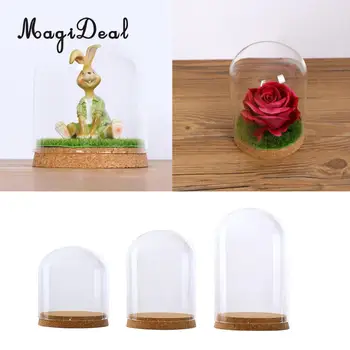 Stalo stikliniu Kupolu Padengti Atspalvį Shield Cloche Bell Jar Kraštovaizdžio Miniatiūriniai Terariumai su Medienos, Kamštienos Sausų Gėlių Vaza