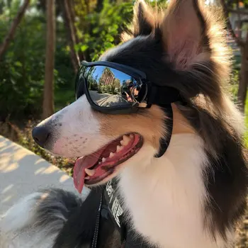 Šuo vandeniui vėjo, saulės, UV apsauga, apsauginiai akiniai PC PVC Nailono diržas Dėvėti, atsparus šunelis prekes
